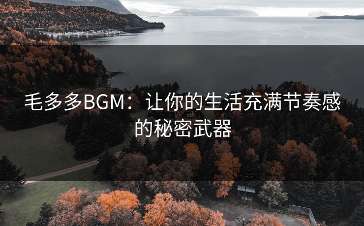 毛多多BGM：让你的生活充满节奏感的秘密武器