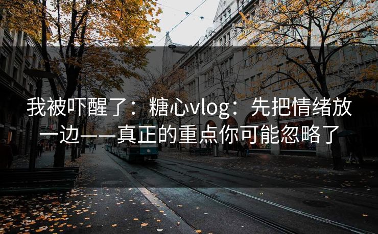 我被吓醒了：糖心vlog：先把情绪放一边——真正的重点你可能忽略了