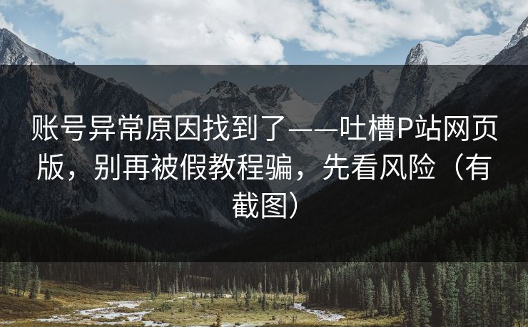 账号异常原因找到了——吐槽P站网页版，别再被假教程骗，先看风险（有截图）