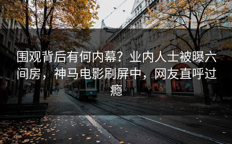 围观背后有何内幕？业内人士被曝六间房，神马电影刷屏中，网友直呼过瘾